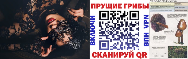 Купить закладки  Верхняя Пышма  Галлюциногенные грибы Psilocybine cubensis 